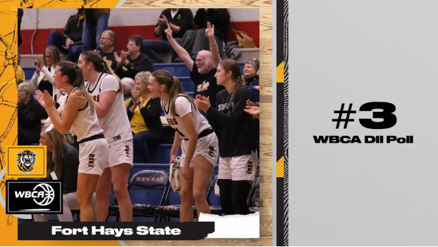 FHSU Athletics image