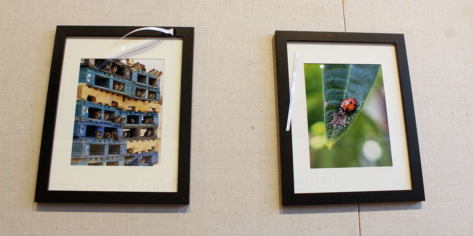 The 5-State Photo Competition and Exhibition anchors Saturday' Hays Arts Council Winter Art Walk. 