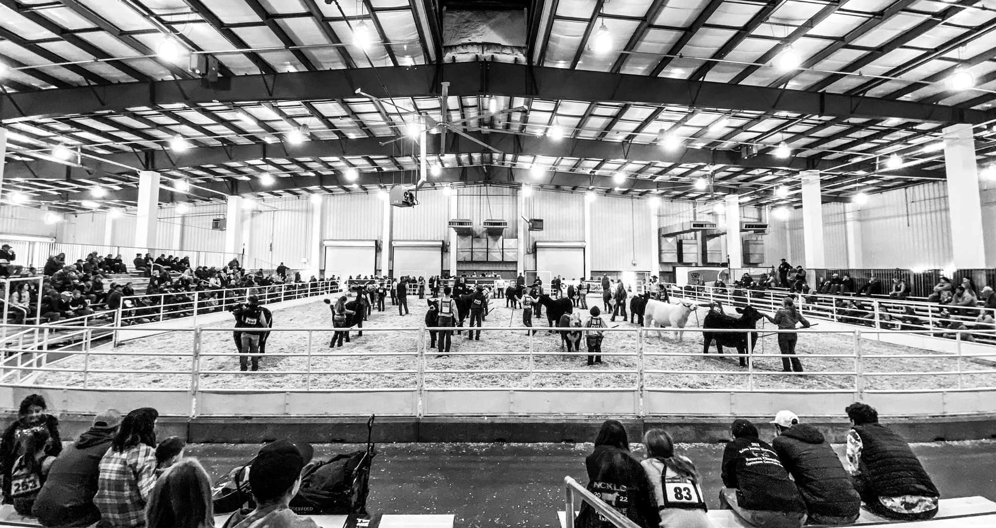 Photo courtesy Kansas Beef Expo