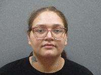 Brianna Christine Domingus - No Proof Of Insurance, Failure To Appear