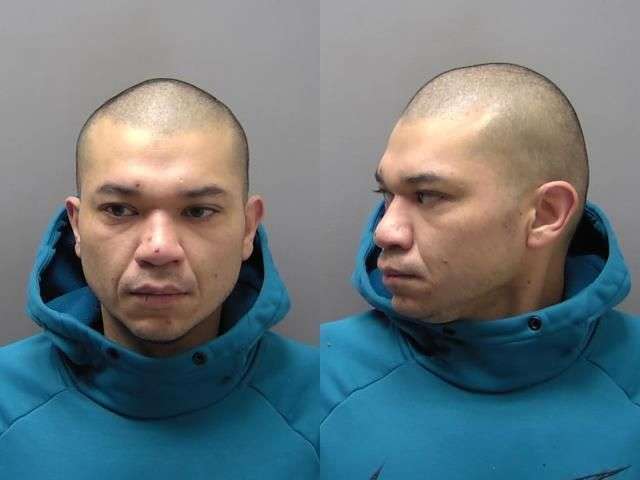 MORADO ROY DOM ASSAULT 5000 BOND