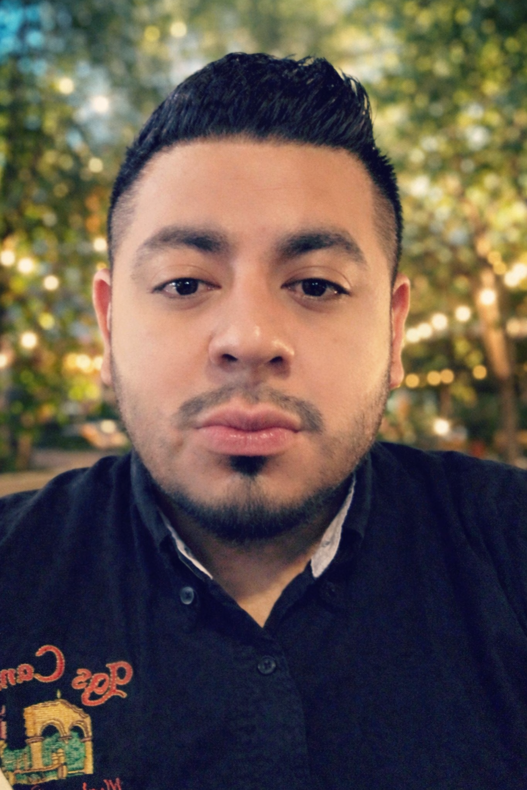 Julio Cesar Villarreal-Gomez