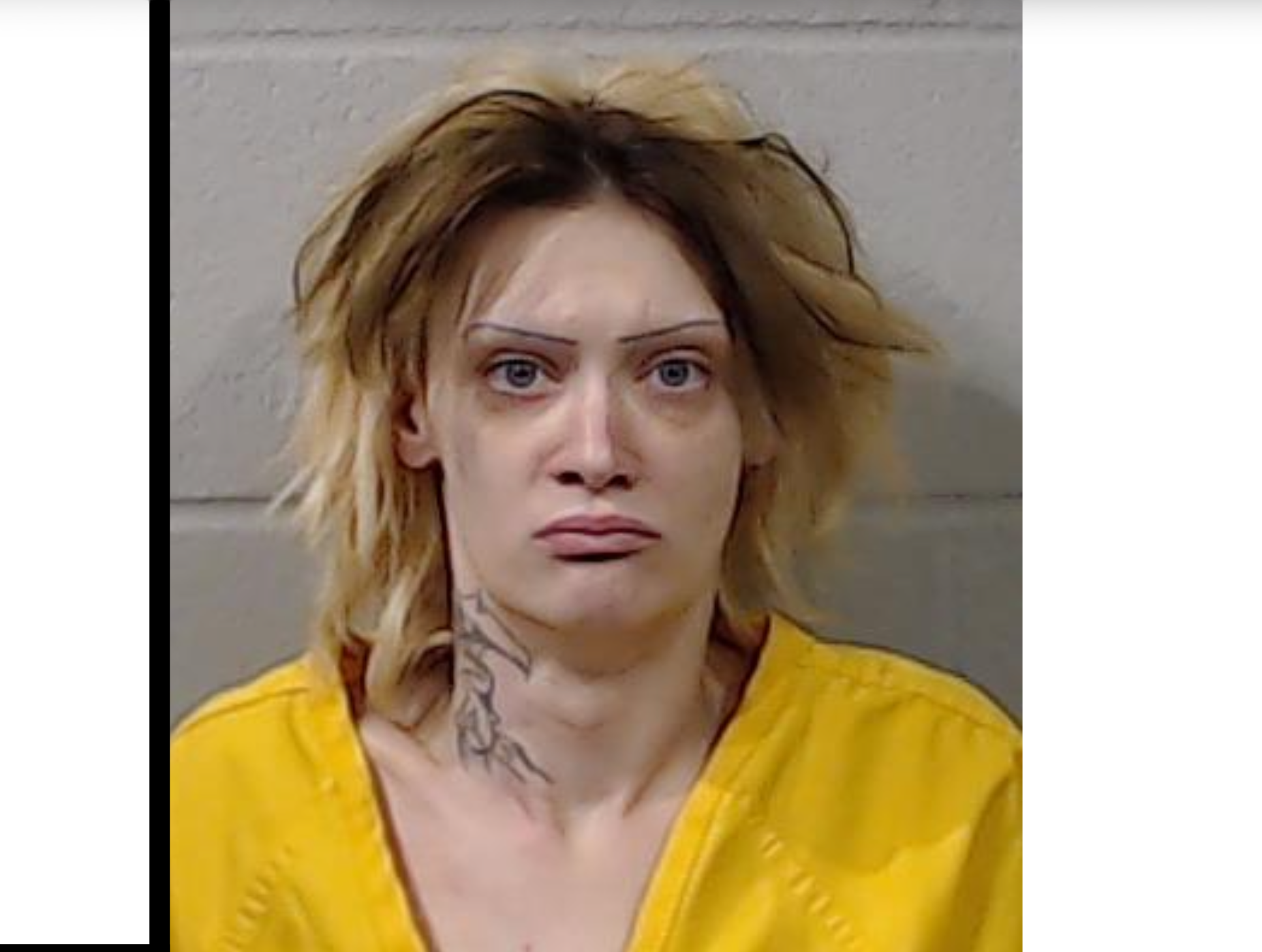 Blunt photo Sedgwick Co.