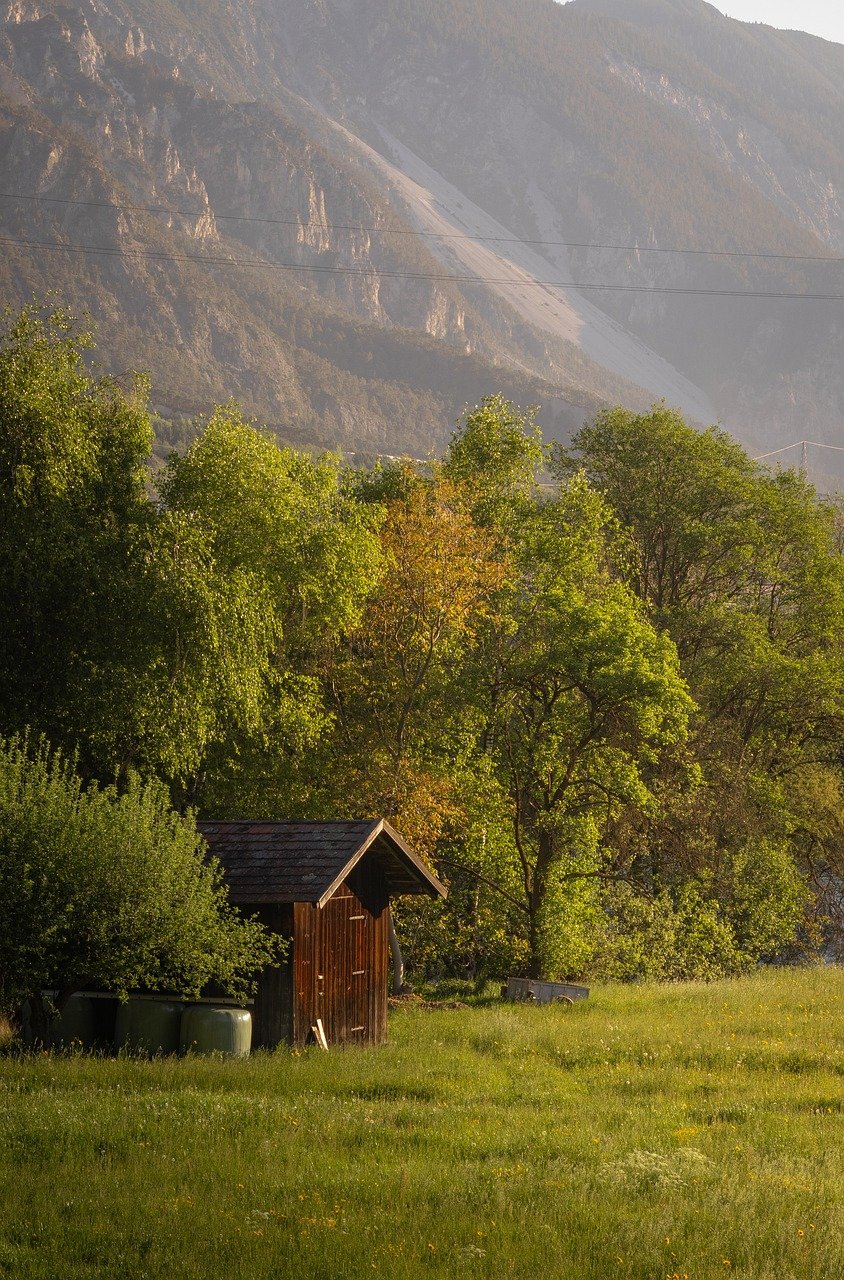 hut, meadow, nature, field, forest, trees, landscape, tyrol