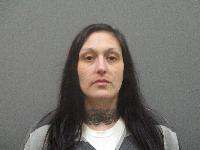 <b>Toni Hopkins - Possession of Controlled Substance, Probation Violation</b>