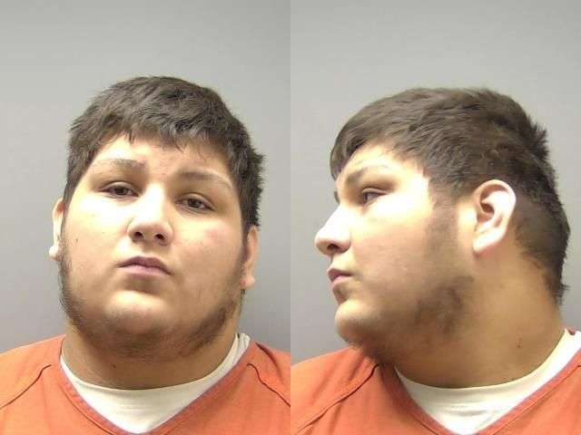 PALMER ALEXANDER ASSAULT 10000 10% CASH