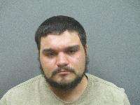 <b>Austin Deidel - 3rd Degree Domestic Assault, Terroristic Threats, Use of a Weapon to Commit a Felony</b>