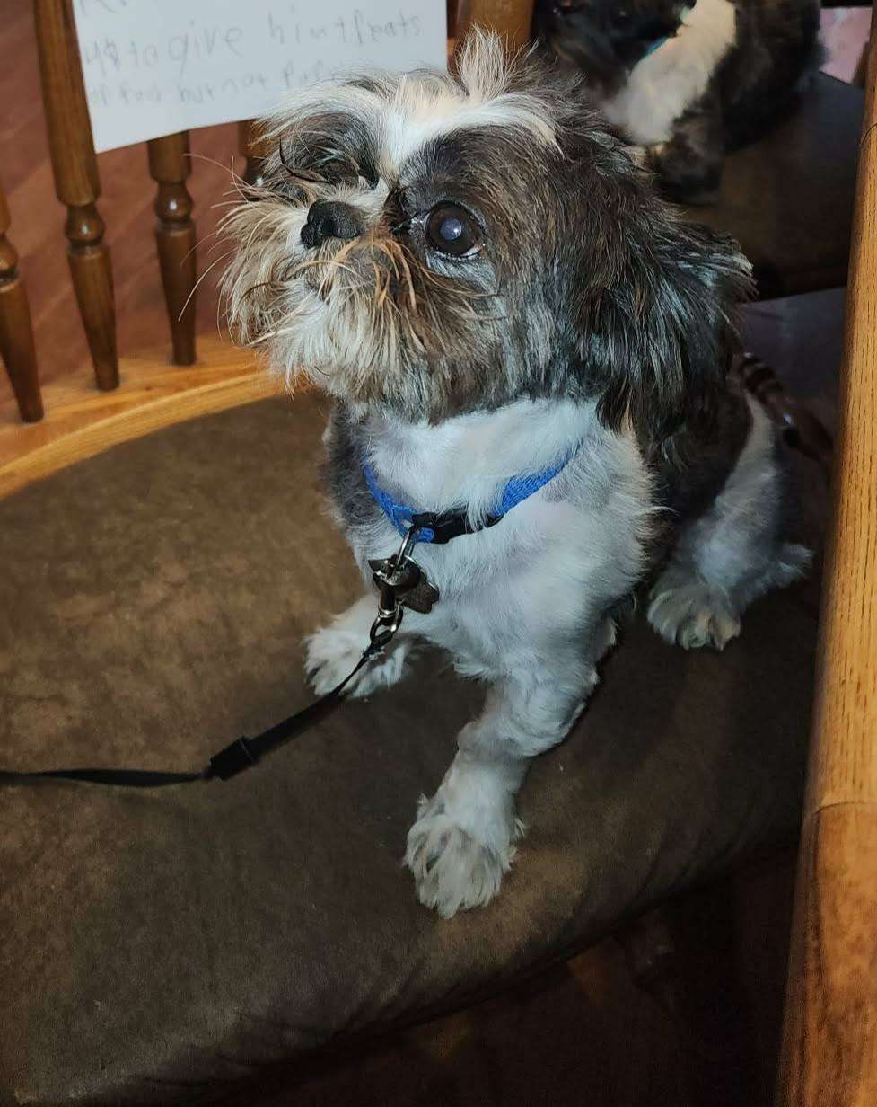 &nbsp; &nbsp; &nbsp; &nbsp; &nbsp; &nbsp; &nbsp; &nbsp; &nbsp; &nbsp; &nbsp; &nbsp; &nbsp; &nbsp; &nbsp; &nbsp; &nbsp; &nbsp; &nbsp; &nbsp; &nbsp; &nbsp; &nbsp; &nbsp; &nbsp; &nbsp; &nbsp; &nbsp; &nbsp; &nbsp; &nbsp; &nbsp; &nbsp; Bruiser