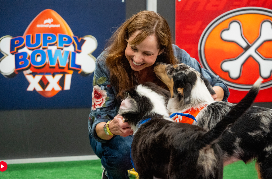This image, released by Animal Planet/Warner Bros. Discovery shows animal expert Victoria Schade interacting with dogs on the set of "Puppy Bowl XXI," airing Sunday. (Animal Planet/Warner Bros. Discovery via AP)