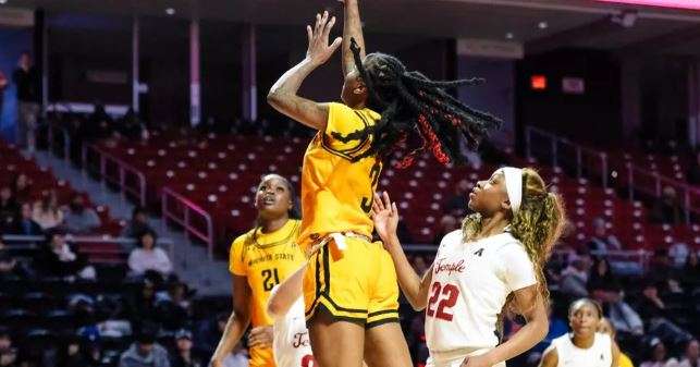 Photo Courtesy Wichita State Athletics