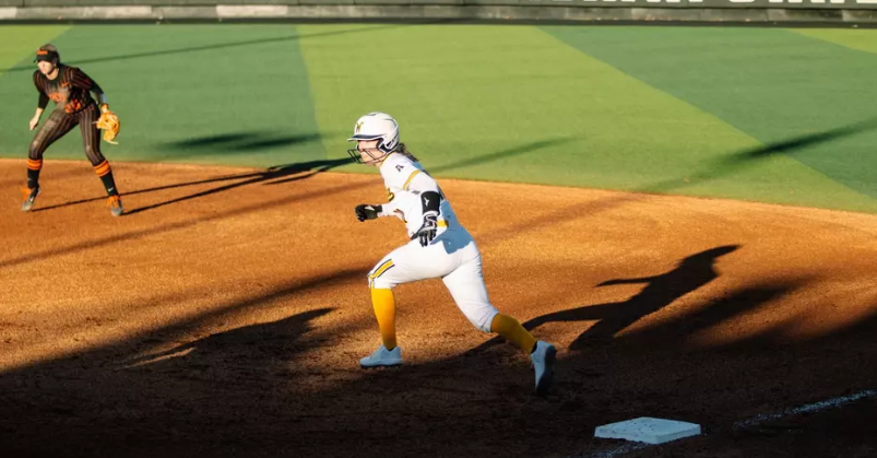 Photo Courtesy Wichita State Athletics