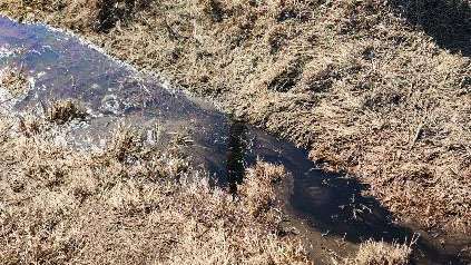 Photo Courtesy Rice County Sheriff's Office