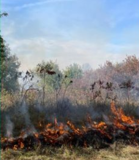 Photo by Kansas Forest Service