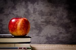 Hays USD 489 board approves 2.5% raise for all personnel