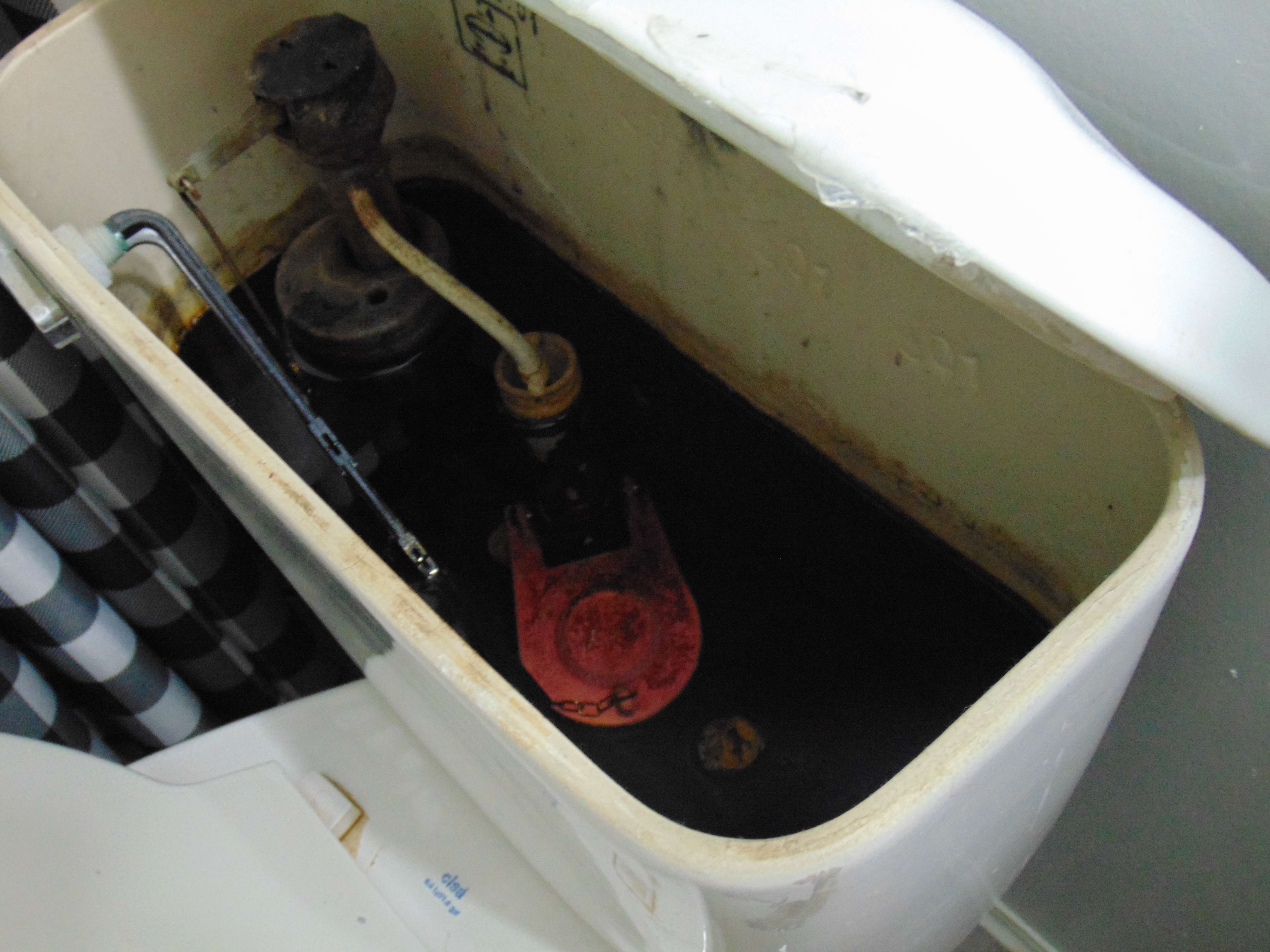 Black water inside Livingston-Holmes' toilet tank in her home; photo by Nicolas Fierro (taken June, 2025)