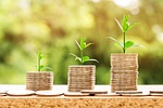 USDA says farm sector profits to grow in 2025