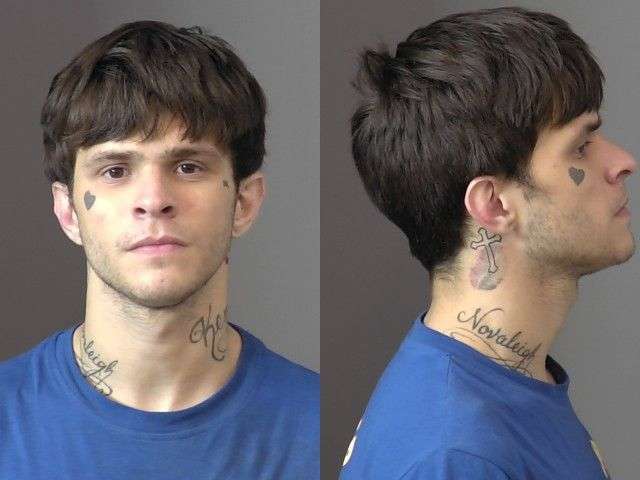 McDowell, Tristian Pacey 