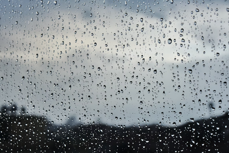 Photo by Unsplash