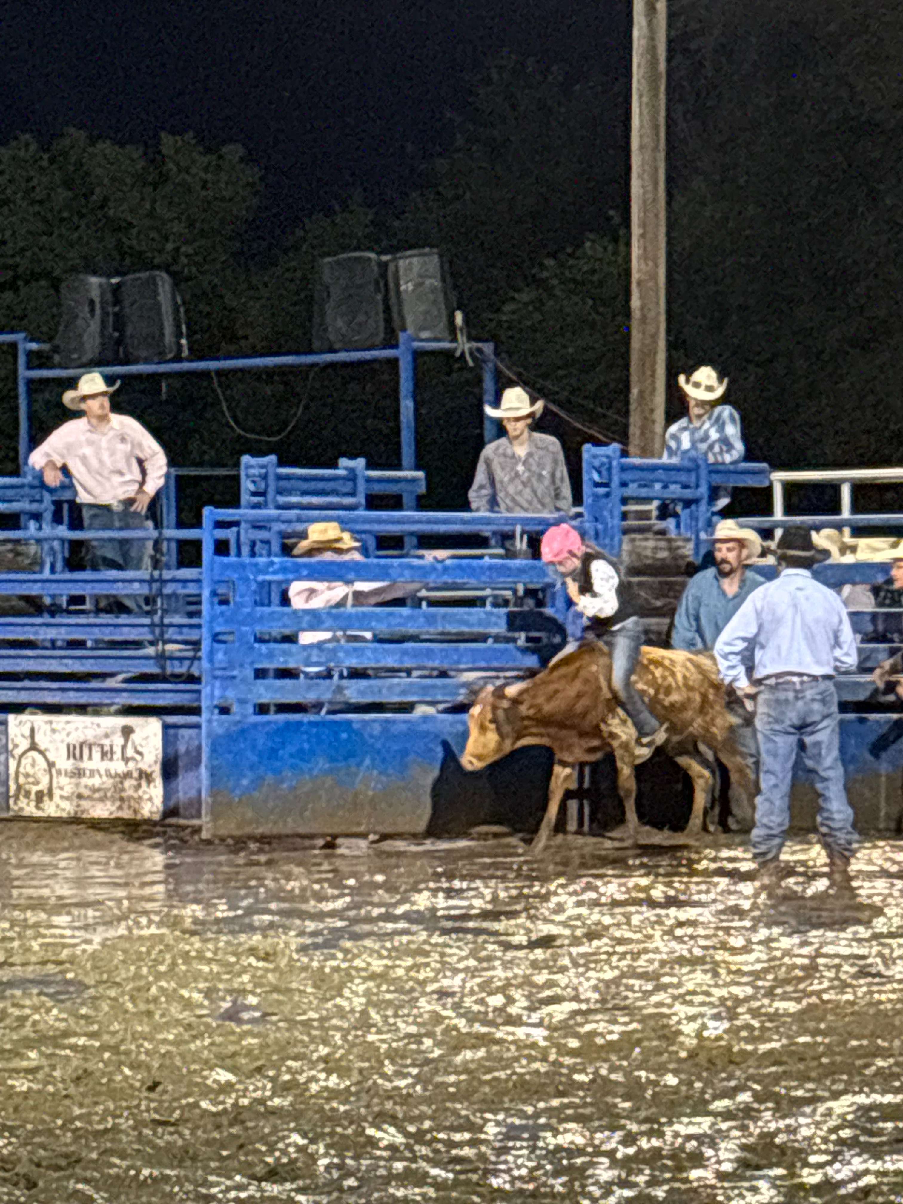 Mini Bull Riding