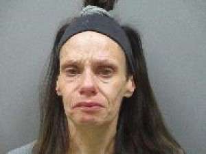 <b>Cassandra Foster - Assault, Leaving Scene of Property Damage Accident, Driving Under Suspension</b>