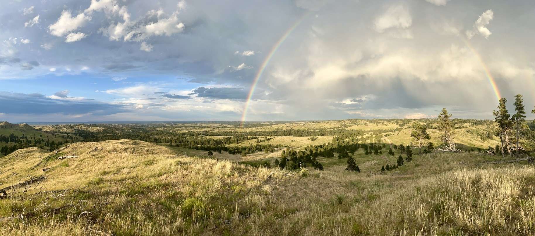 "The Rainbow Picture" (photo by Luke Gazak)