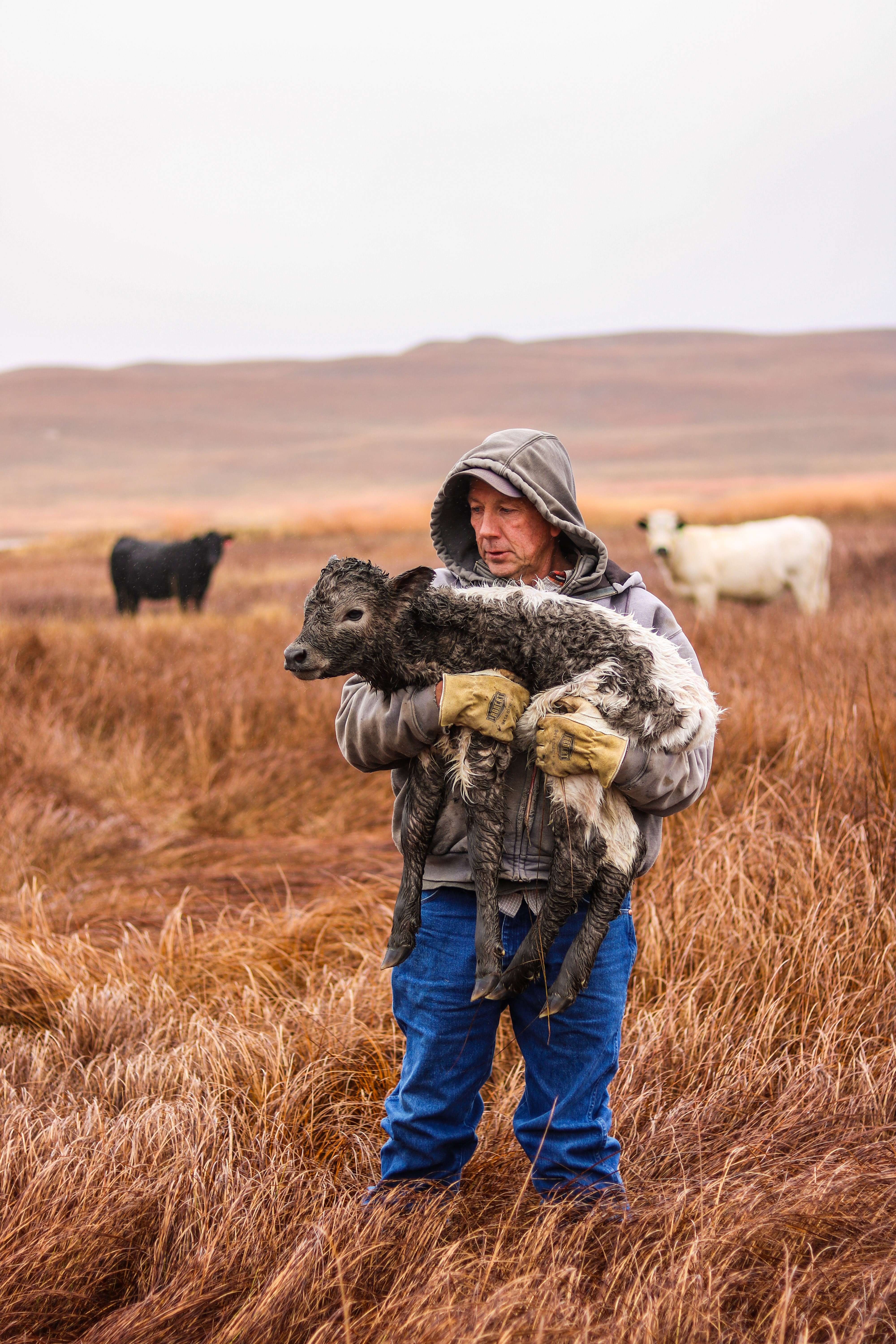 "In Good Hands" (photo by Lori Davis)