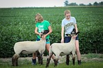 Riley County Fair activities