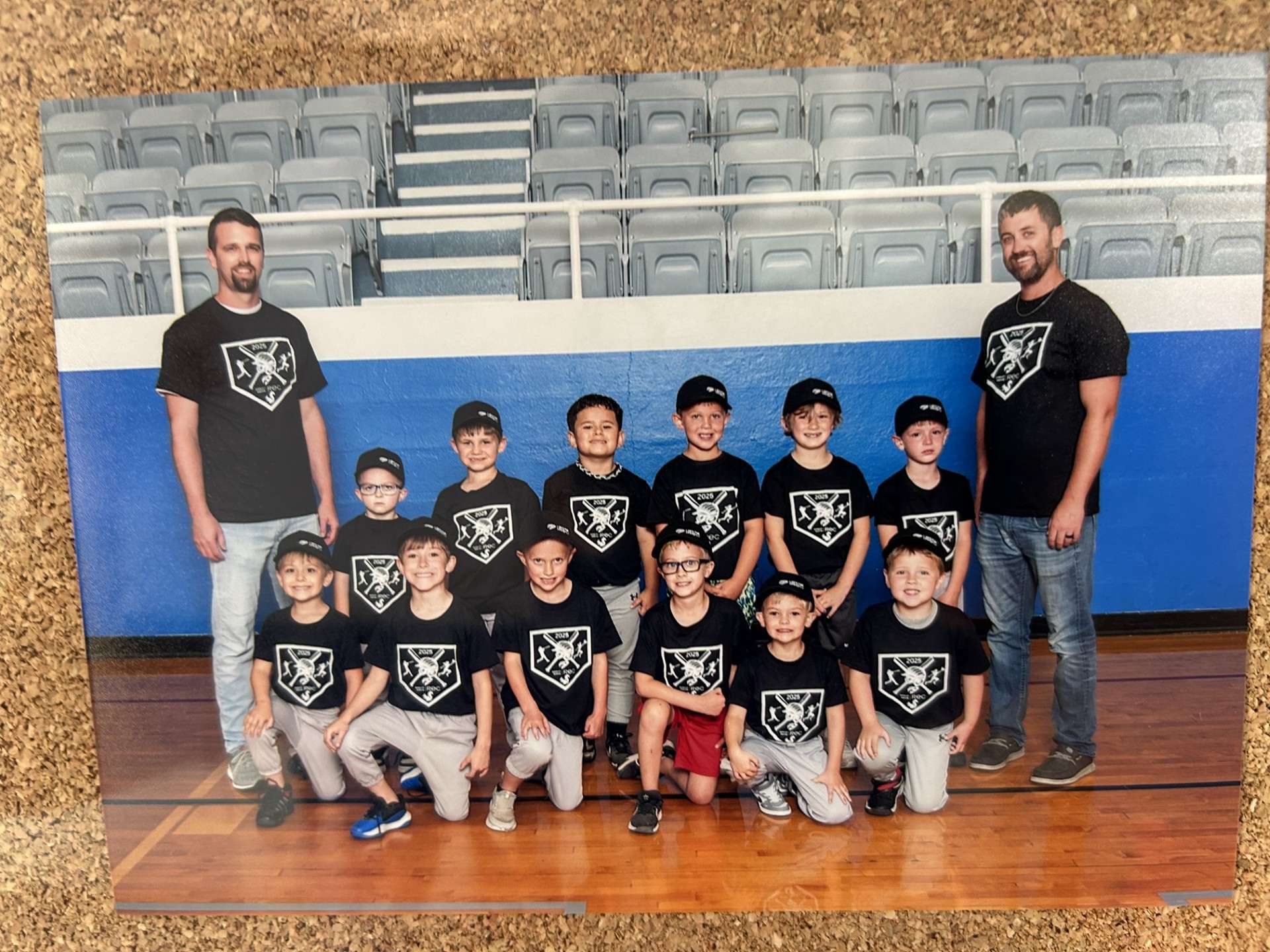 <b>T-Ball Boys:&nbsp; Avengers — Head Coach Alex Birney</b>