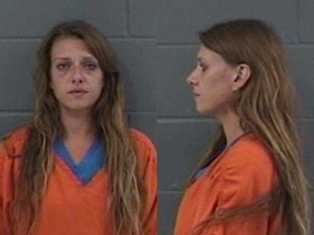 Julia Burlingame, Aggravated battery; Interference with LEO; Criminal damage to property; Theft < $1,500 - all other, arrested 07/24