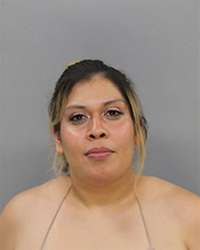 <b>Maira Gaona - DUI Alcohol-2nd Offense, Drive Under Susp/Before reinstated-State, No Proof of Insurance</b>