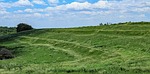 K-State research takes flight to combat woody encroachment with precision mapping