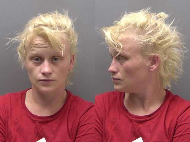 SCHNEIDER TORRIE STEALING MTR VEH 7500 BOND