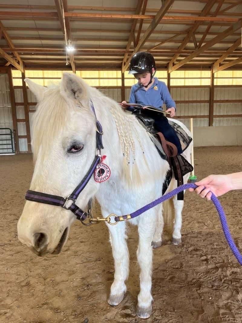 Photo courtesy Reins of Hope