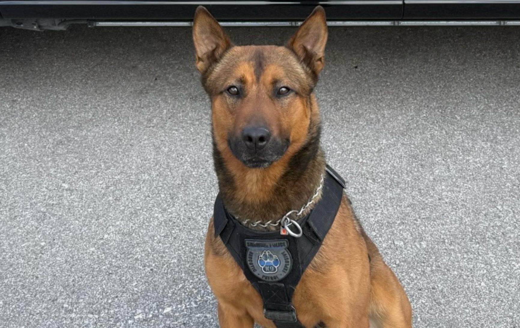 Daagger photo Shawnee Police