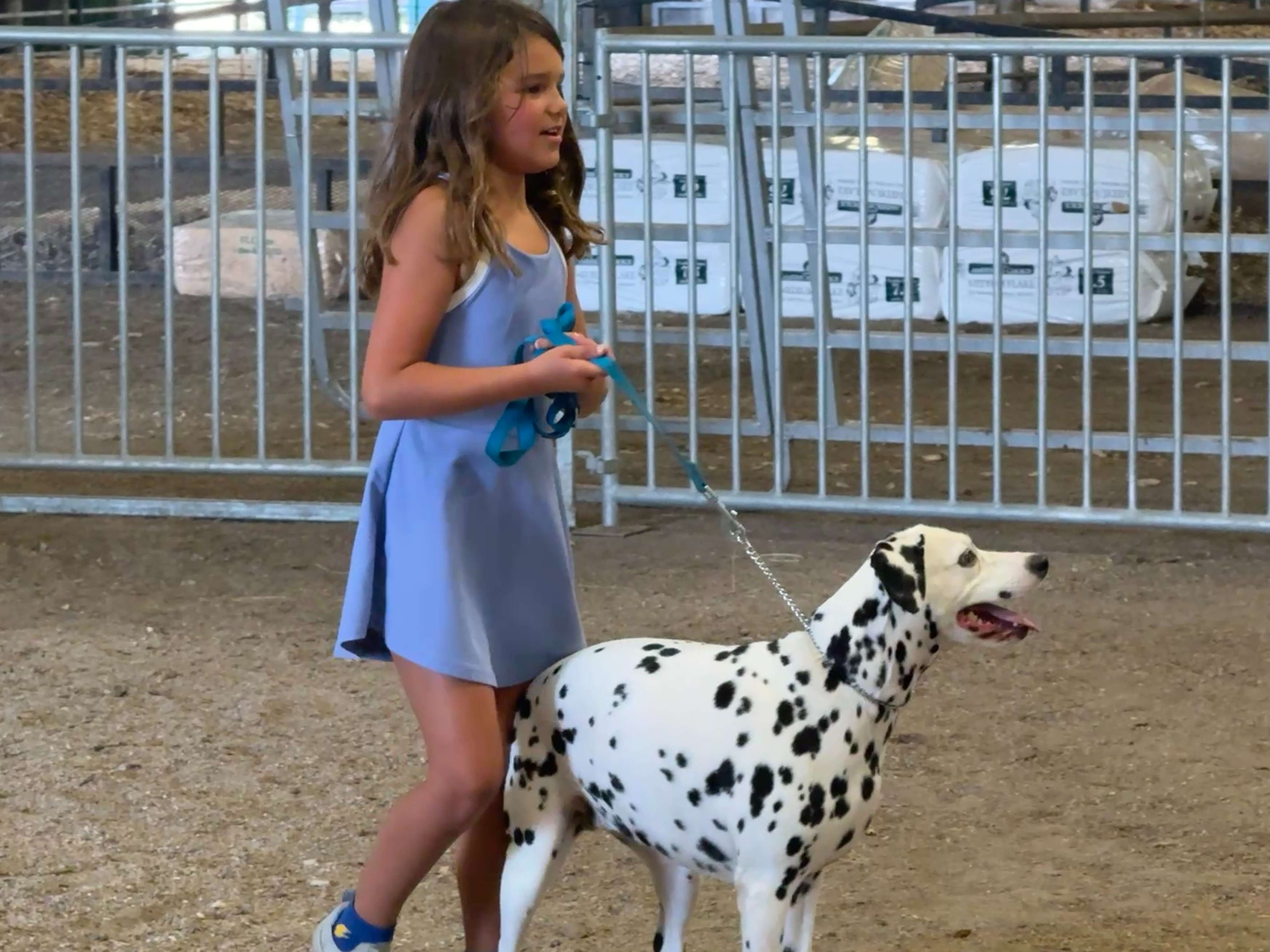 Clover Kid Pet Parade at the 2025 Box Butte County Fair