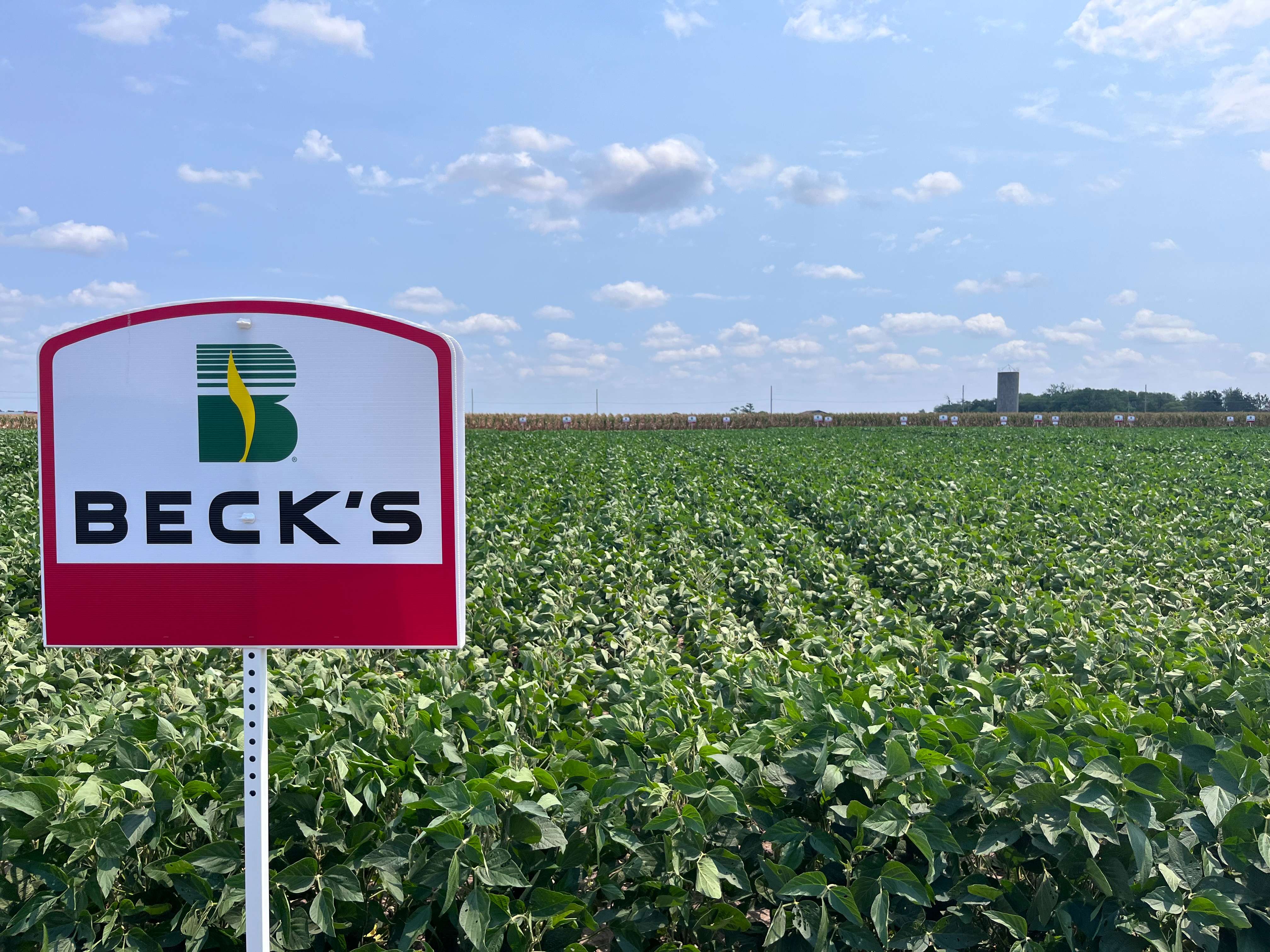 Beck's Hybrids, largest family-owned retail seed company and the third-largest seed brand in the US, establishes warehouse in Salina, KS on 2201 N. Ohio.