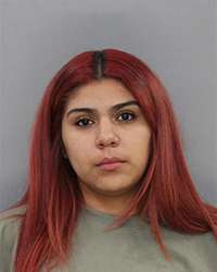 <b>Joealis Zuniga - Minor in Possession Under 19/1st Off.</b>