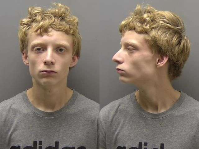 GIBBONS XAVIER UNL POSS FIREARM NO BOND