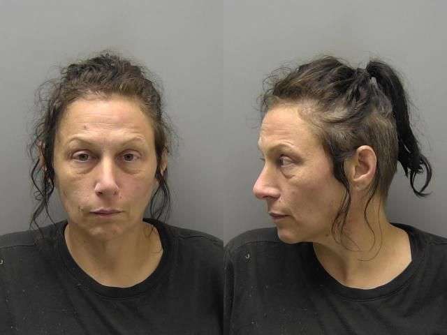 WOLF ANDREA BURGLARY NO BOND