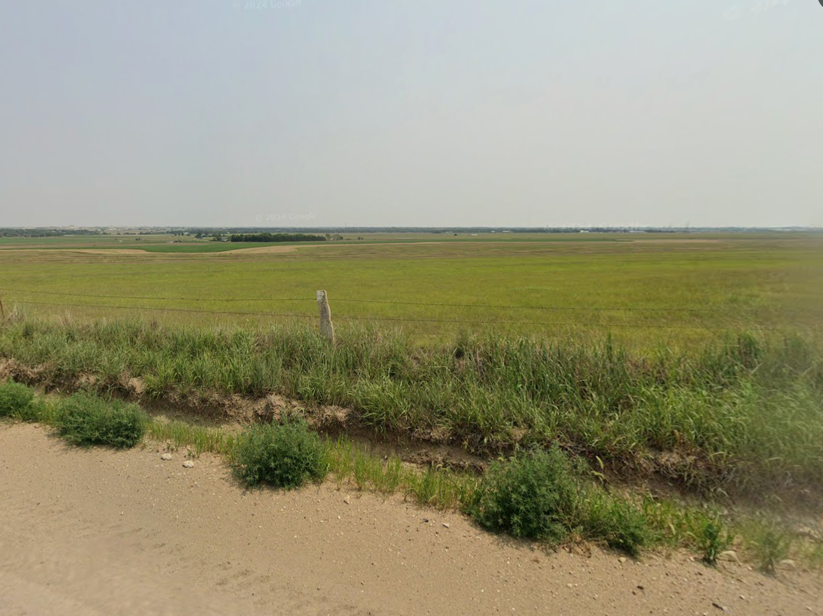 Google image