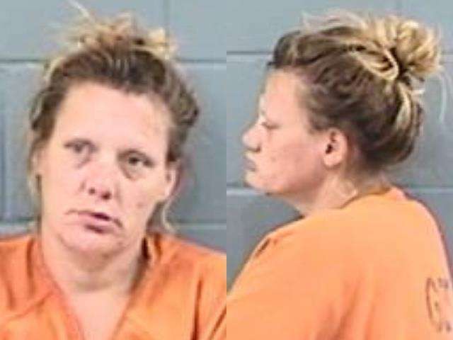 Vanessa Nixon, Disorderly conduct, arrested 08/11