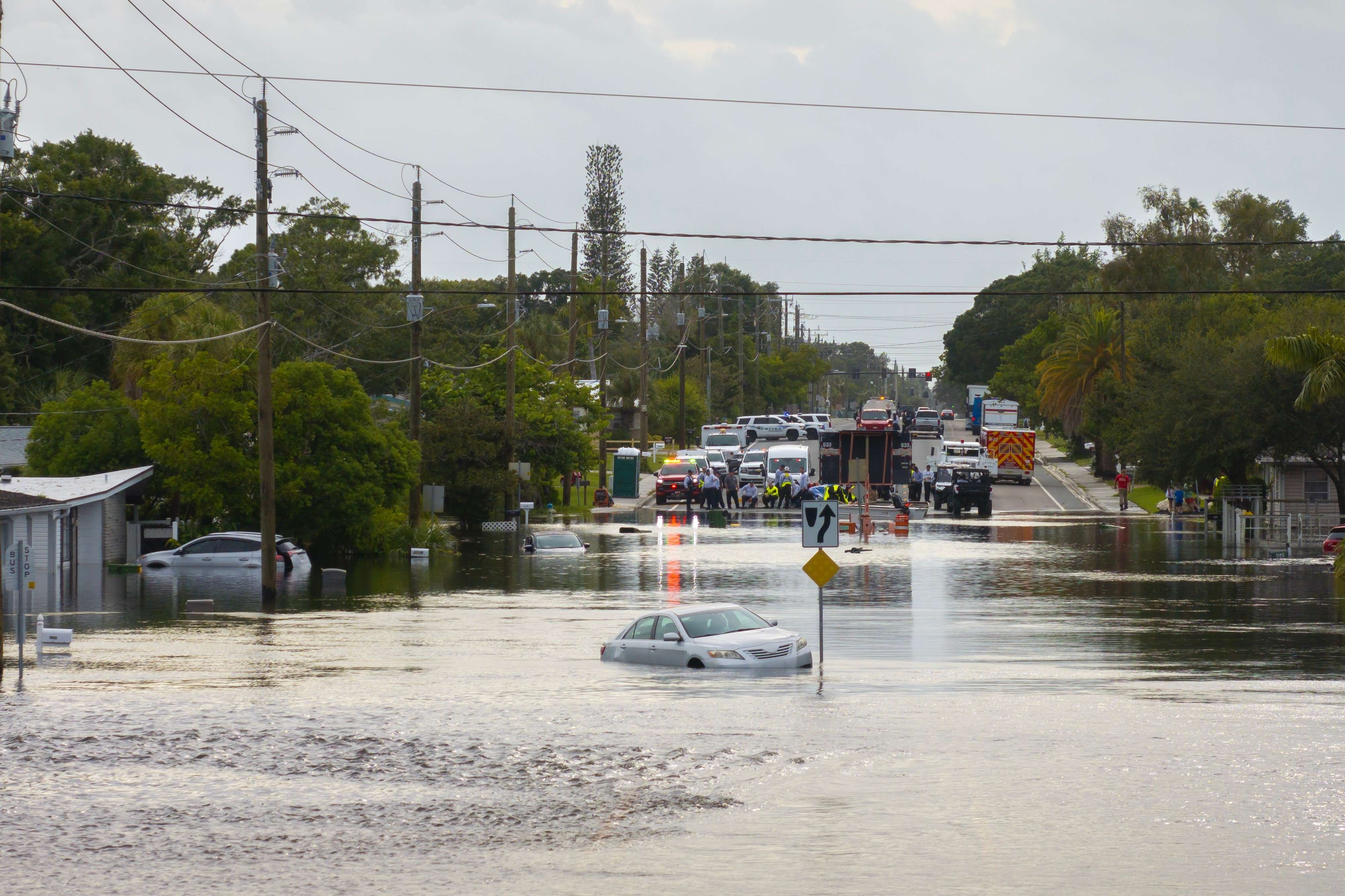 (Photo courtesy AAA) 
