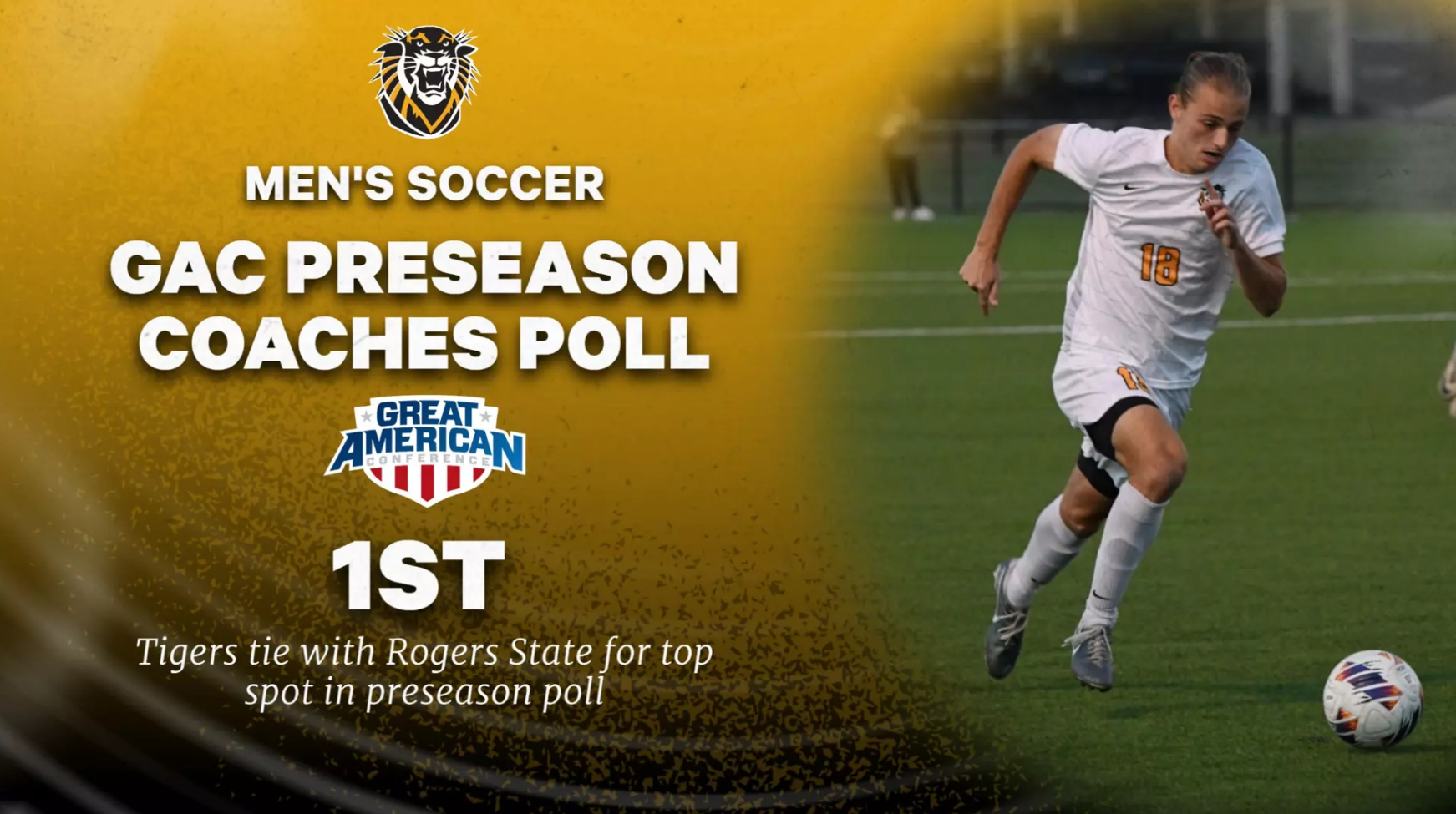 FHSU Athletics image