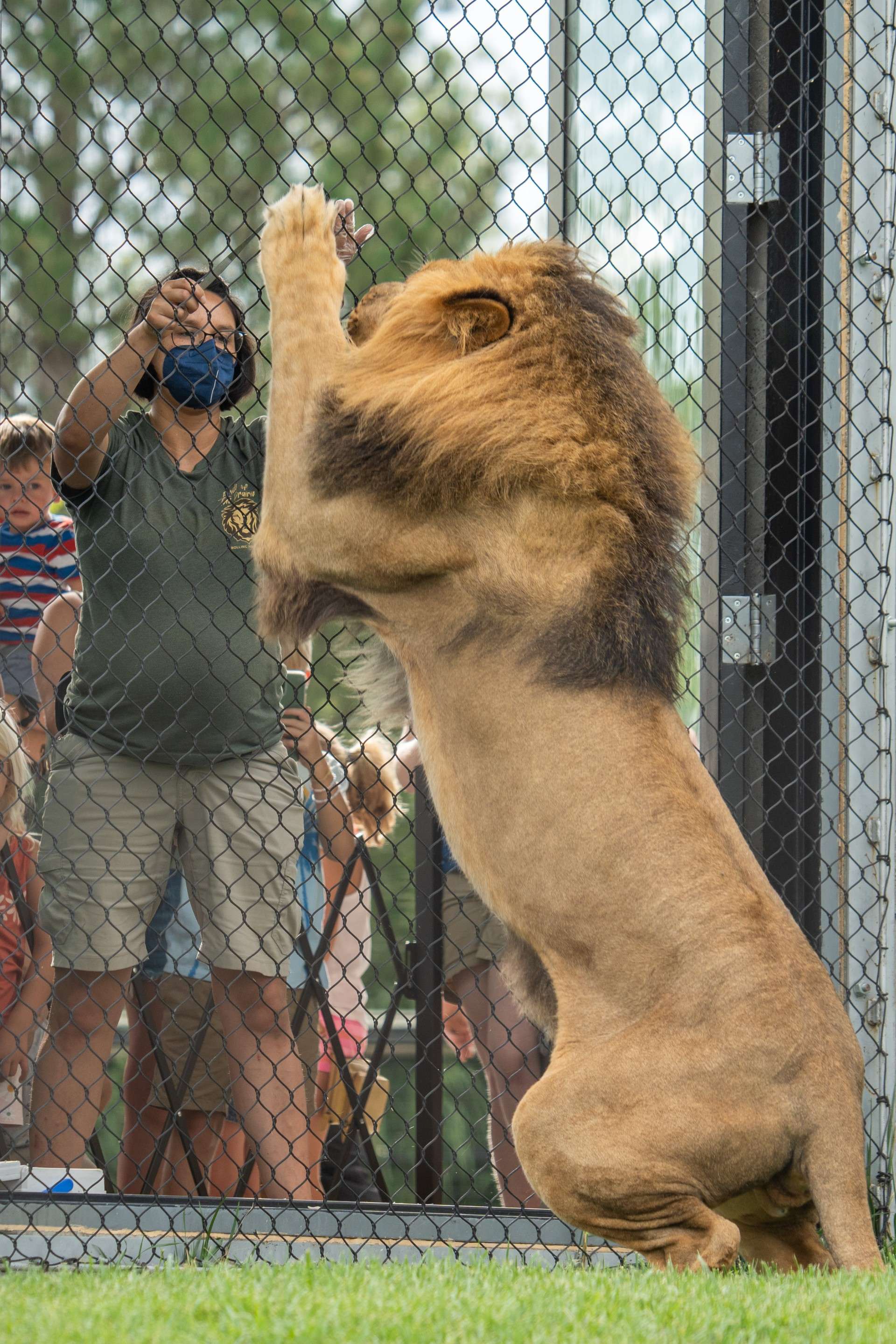 Courtesy of Rolling Hills Zoo
