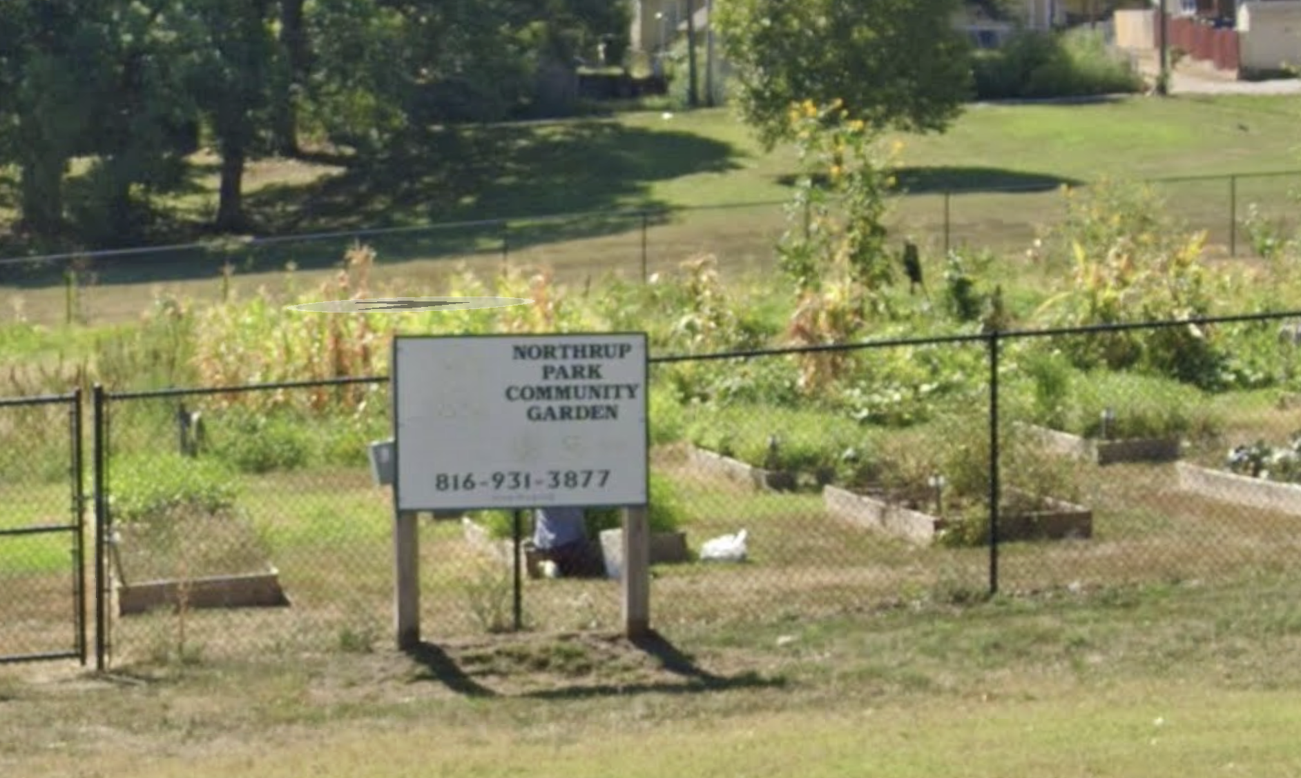 Northrup Park -Google image