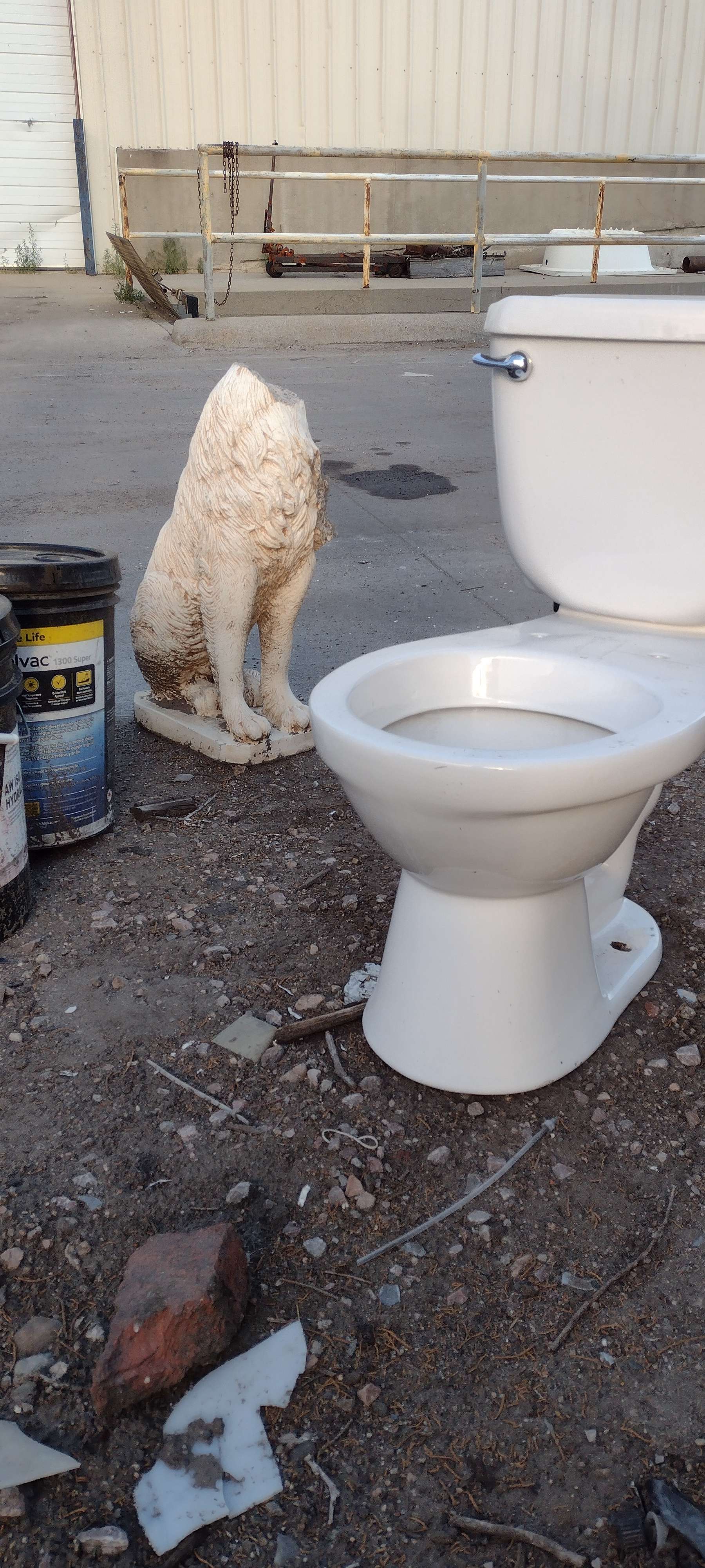 KAB picked up this broken dog statue while someone driving by left the toilet, which we could not recycle. The city-wide cleanup Aug. 22-23, at the landfill is a free alternative to illegal dumping.