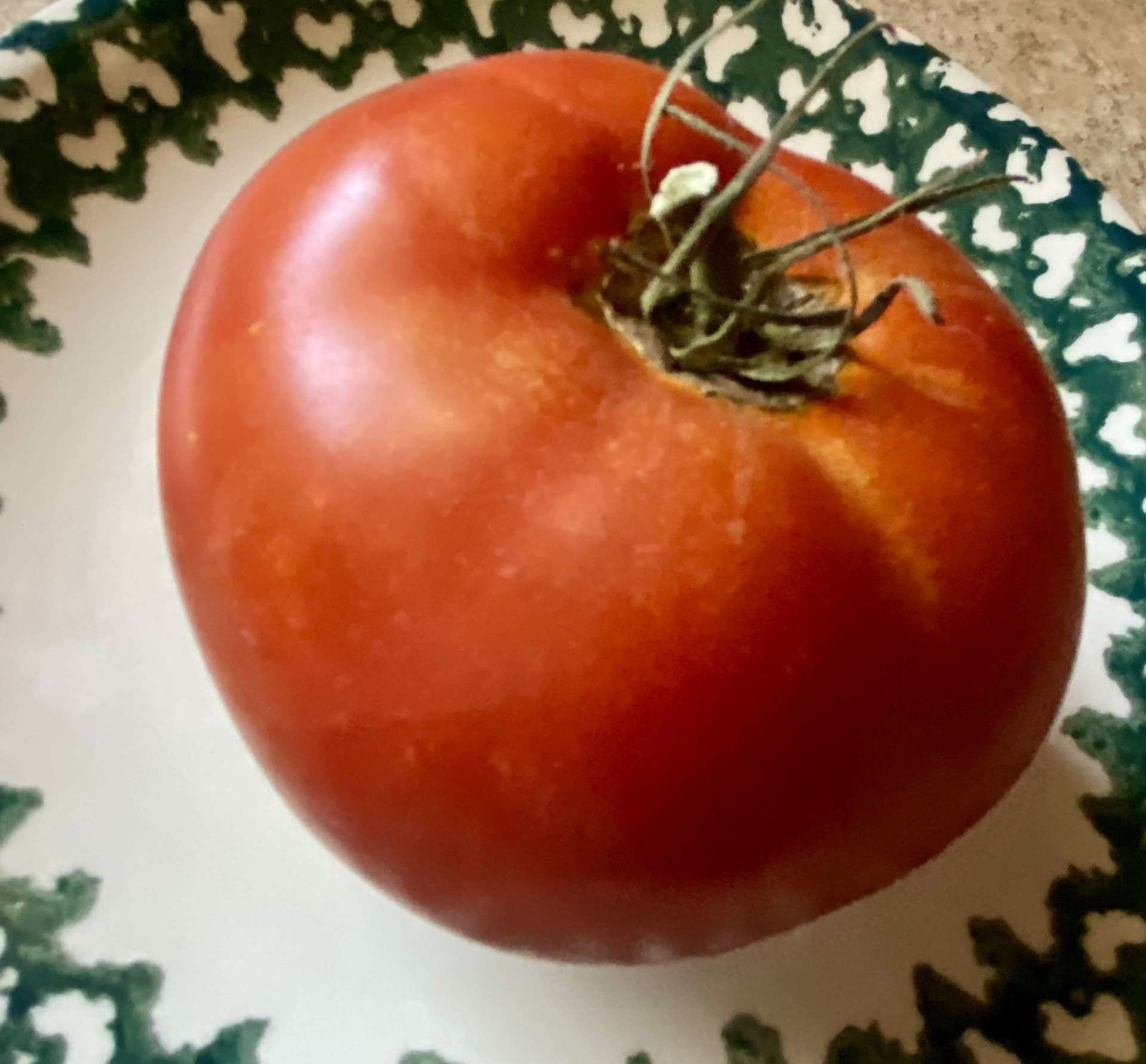 Late summer garden tomato. Photo by Karen Madorin
