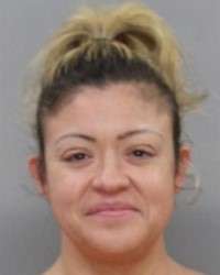 <b>Airrica Solano - Possess Controlled Substance (x3)</b>