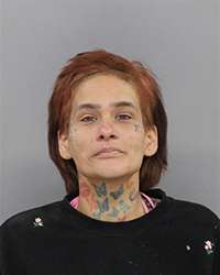 <b>Ashley Coronado - False Reporting - Misdemeanor, Possess K2 or Marijuana 1 oz or less-2nd, Possess or Use Drug Paraphernalia, Obstruct a Peace Officer, Fail to Appear | Out of County</b>