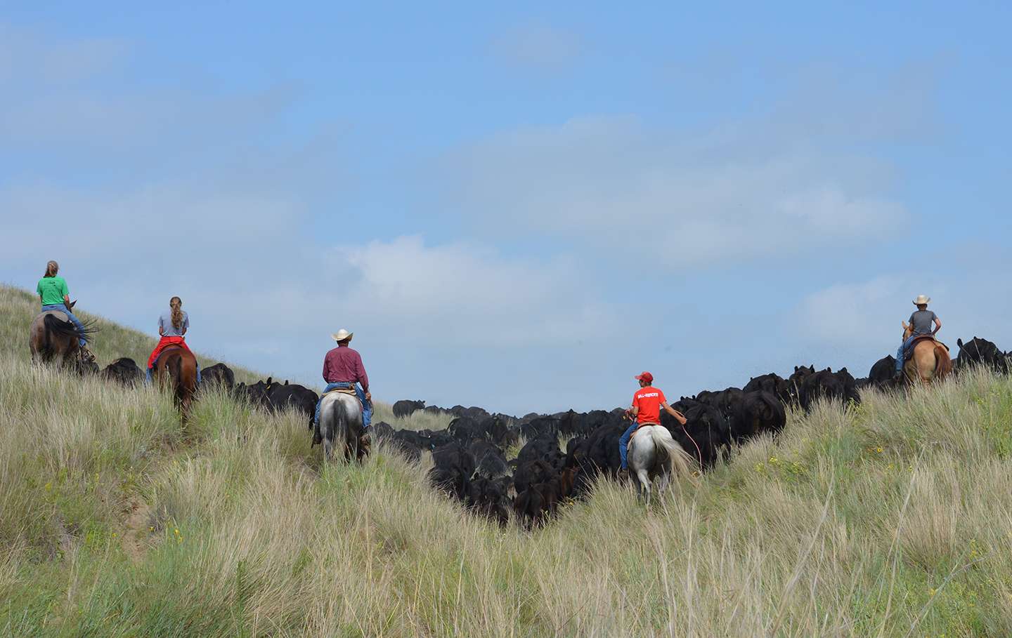 Doing work or chores as a family helps encourage movement in all steps of life. Photo by Natalie Jones